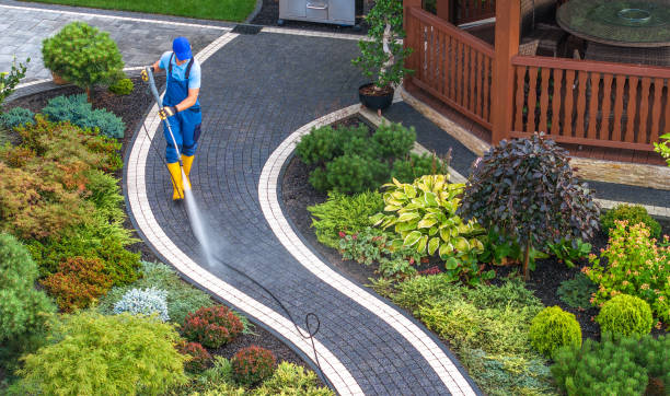 Best Roof Power Washing Services  in Norfolk, VA